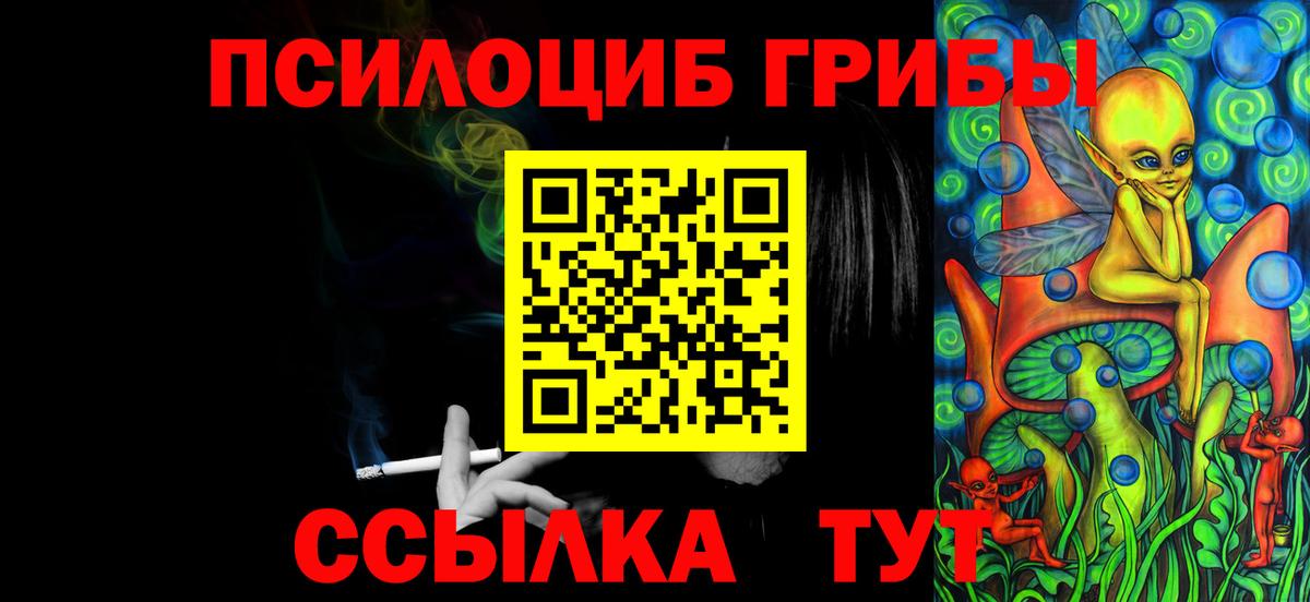 Псилоцибиновые грибы мицелий Губаха